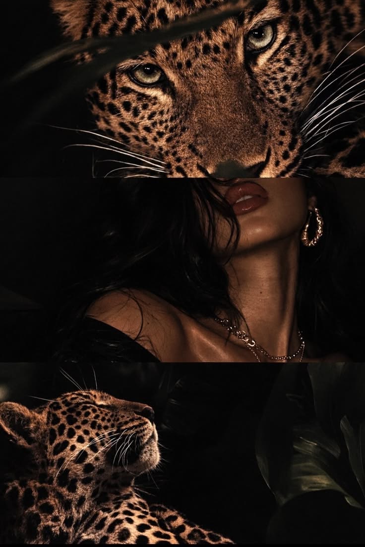 Moody leopard and feminine portrait triptych